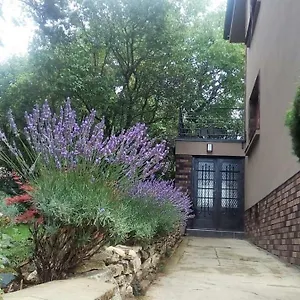 V Zahradě Troja - In The Garden Troja Apartmán